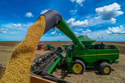 Plantação de soja extensiva com gado bovino ao fundo, representando concentração de 42% do VBP agro