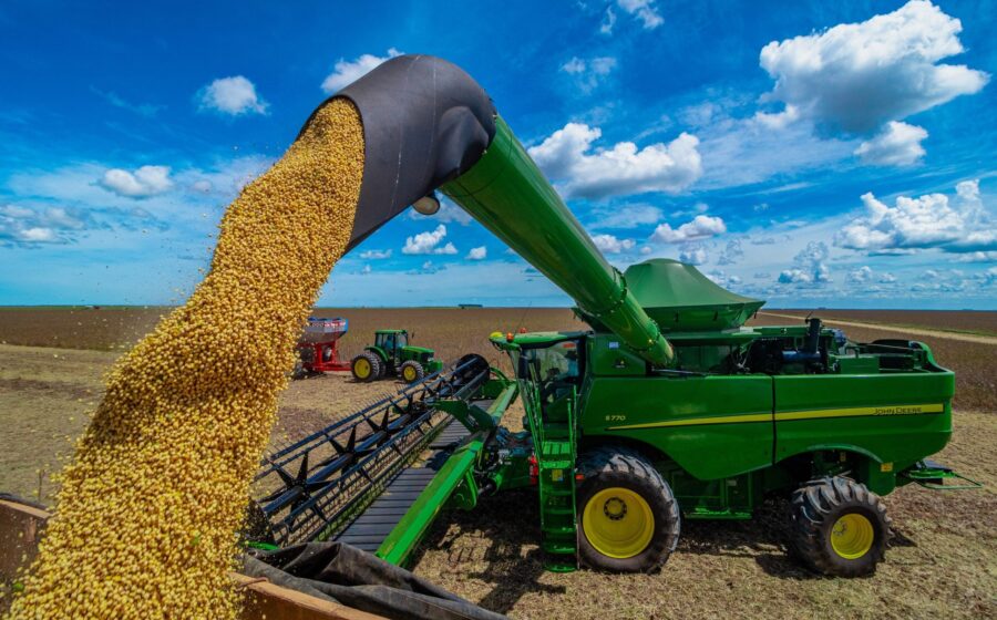 Plantação de soja extensiva com gado bovino ao fundo, representando concentração de 42% do VBP agro
