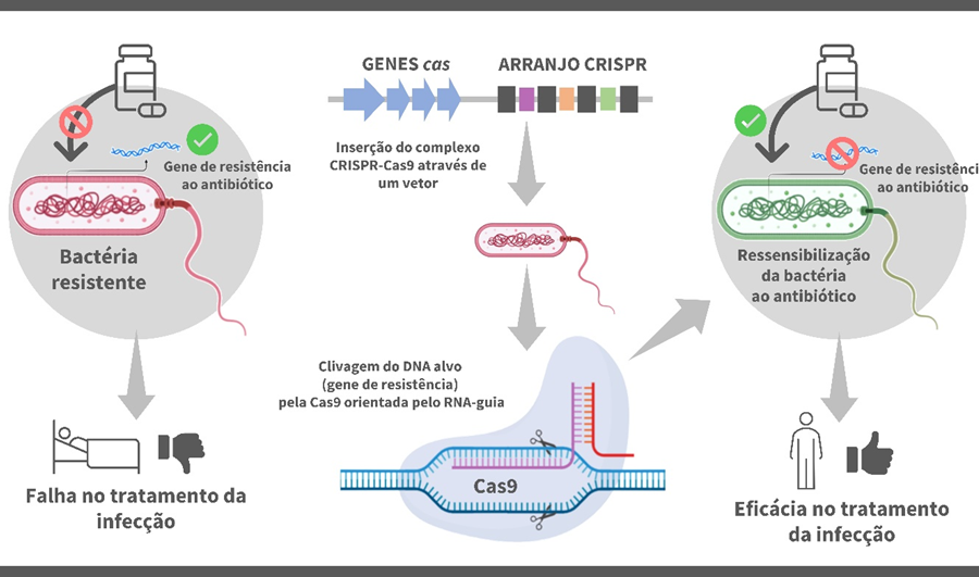 Ilustração de vírus com estrutura de DNA representando sistema Vipr de edição genética antiga