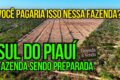 Fazenda de 101 hectares em Primavera do Leste MT com placa de leilão judicial e redução de preço de 10,5 para 3 milhões
