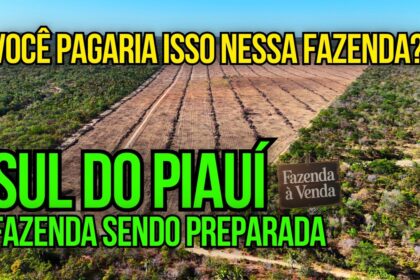 Fazenda de 101 hectares em Primavera do Leste MT com placa de leilão judicial e redução de preço de 10,5 para 3 milhões
