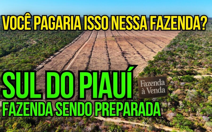 Fazenda de 101 hectares em Primavera do Leste MT com placa de leilão judicial e redução de preço de 10,5 para 3 milhões