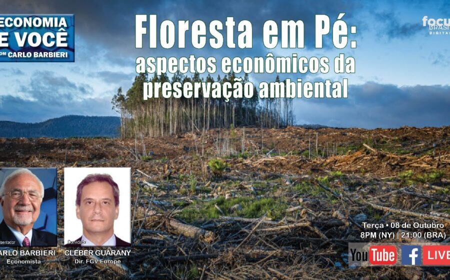 Floresta amazônica preservada com luz solar filtrando pelas copas das árvores