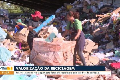 Estudantes recolhendo recicláveis em gincana escolar Porto Velho