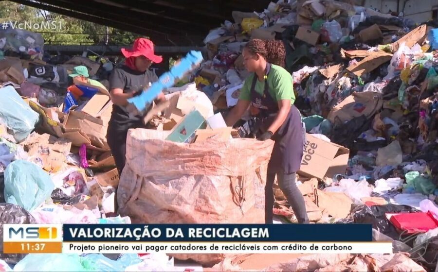 Estudantes recolhendo recicláveis em gincana escolar Porto Velho